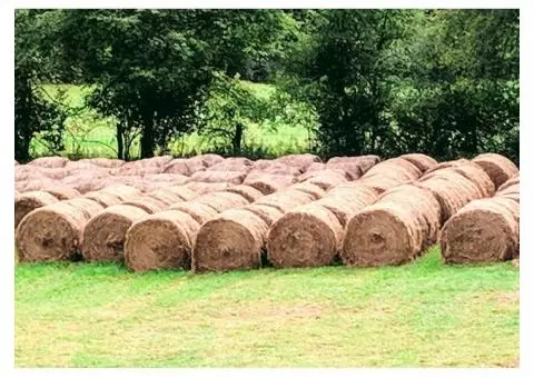 HAY FOR SALE - Fayette County - Danese, WV